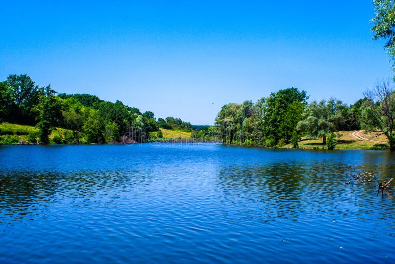 Green shore of a summer lake