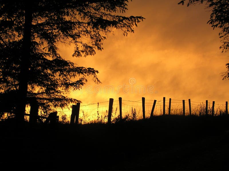 Summer Sunset in Ireland stock image. Image of farm, evening - 23004611