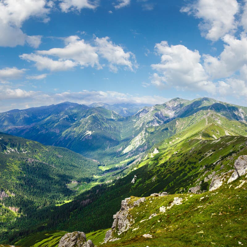 Summer Tatra Mountain, Poland Stock Photo Image of grass, scenic