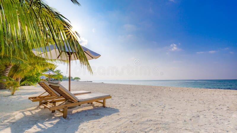 Summer travel destination background. Summer beach scene, sun beds sun umbrella and palm trees