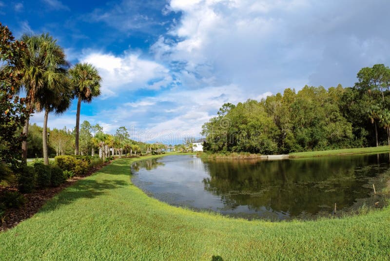 Summer Tree Pond and White Cloud Stock Photo Image of geyser