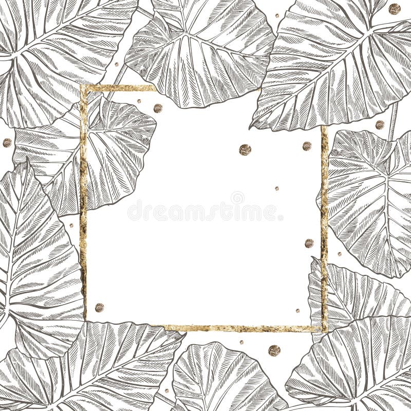 Summer tropical leaves design with gold frame. Floral background illustration. Invitation or card design with jungle. Leaves royalty free stock image Summer tropical leaves design with gold frame. Floral background illustration. Invitation or card design with jungle. Leaves royalty free stock image