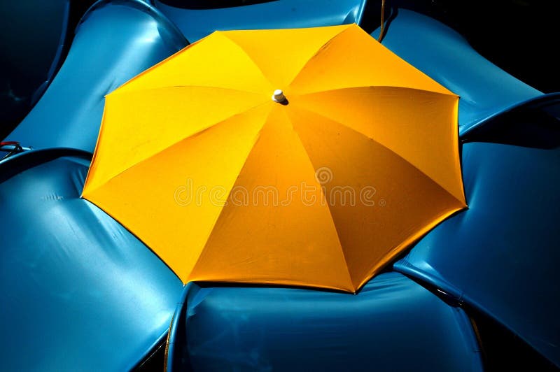 Summer umbrella flower