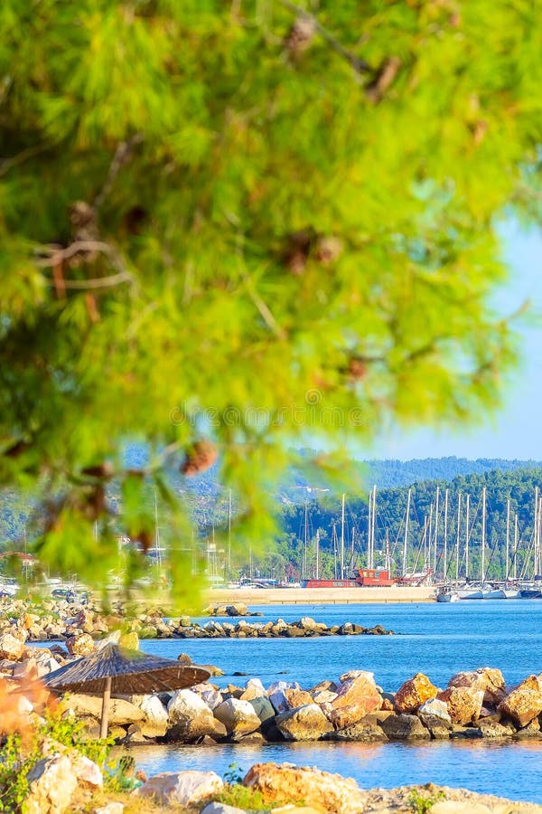 Beautiful Mediterranean Sea With Clear Turquoise Water And Pine Trees Stock  Photo - Image of greece, green: 223913666