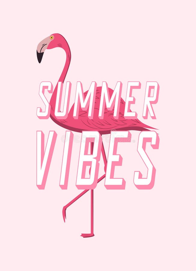 Summer Vibes Design Poster with Pink Flamingo. Cartoon Banner for Summer  Time Stock Vector - Illustration of pink, concept: 120246032