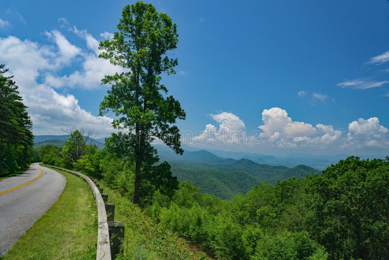 Summer View of the Blue Ridge Mountains