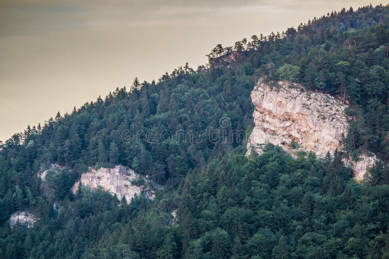 Letní pohled na horu Velká Fatra na Slovensku.