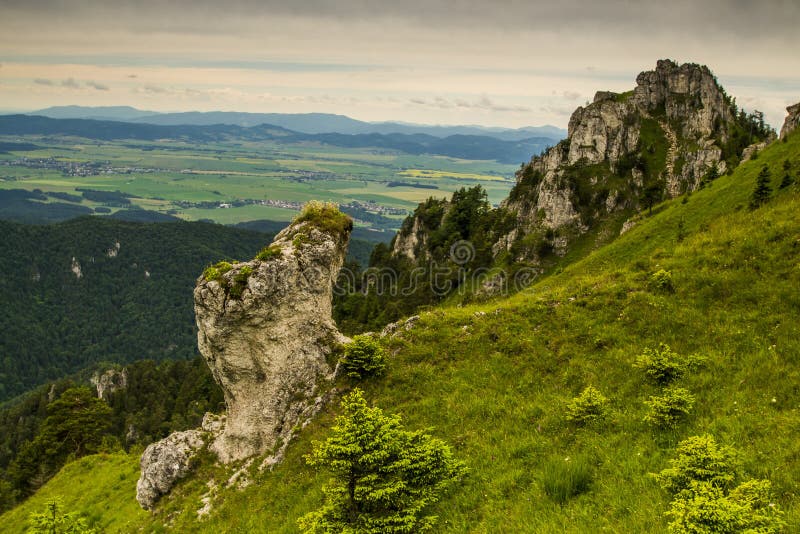 Letní pohled na horu Velká Fatra na Slovensku.