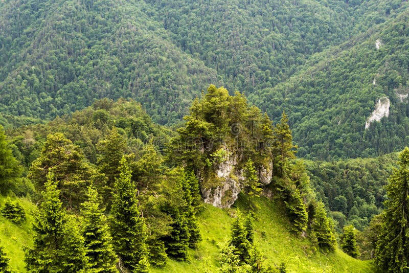 Letný pohľad na Veľkú Fatru na Slovensku.