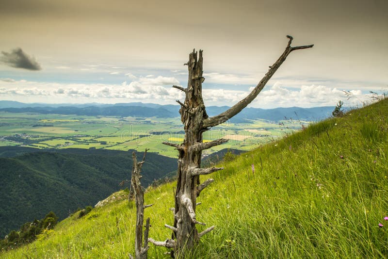 Letný pohľad na Veľkú Fatru na Slovensku.