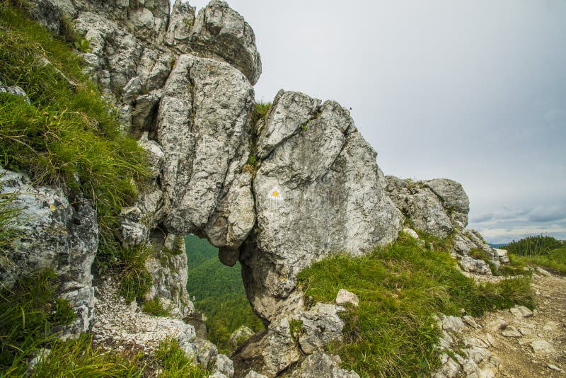 Letný pohľad na Veľkú Fatru na Slovensku.