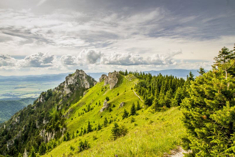 Letný pohľad na Veľkú Fatru na Slovensku.