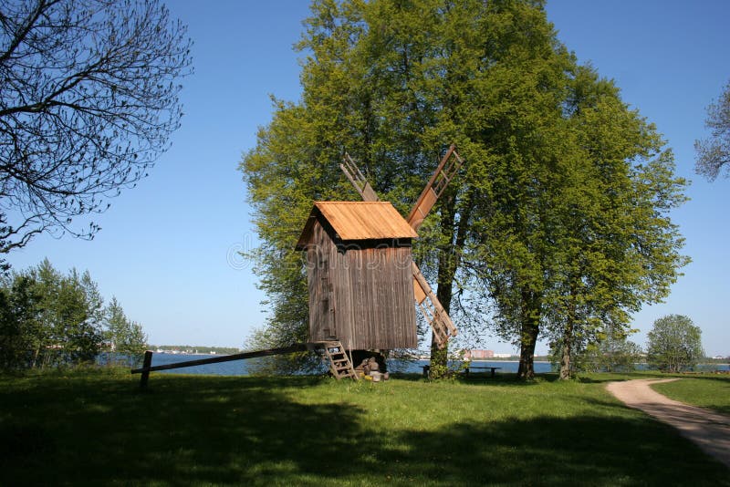 Summer in a village