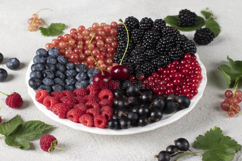 Summer vitamin food concept, set of various berries - blueberry, raspberry, blackberry, red white and black currant on