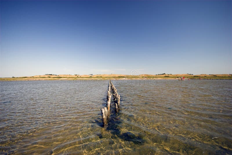 Summer at the Wadden Sea