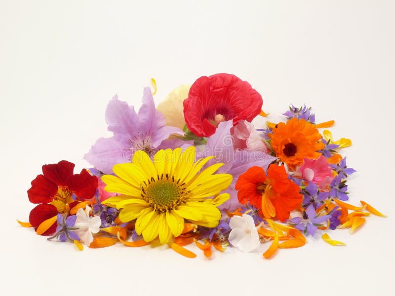 Edible Flowers stock image. Image of flowers, food, edible 8181079