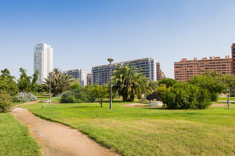 Summertime in city park