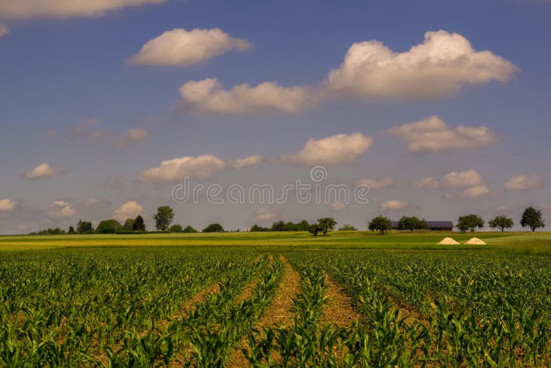 Summertime in Germany stock image. Image of nature, outdoor 152675663