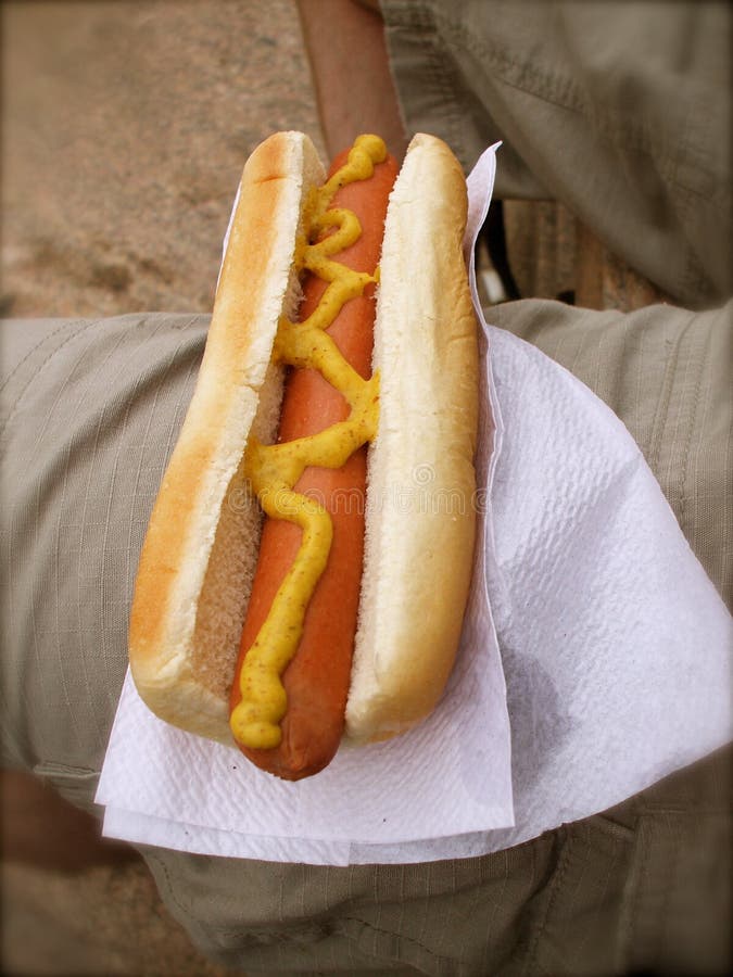 Hot Dog In A Bun With Sauce Picture. Image 3458741