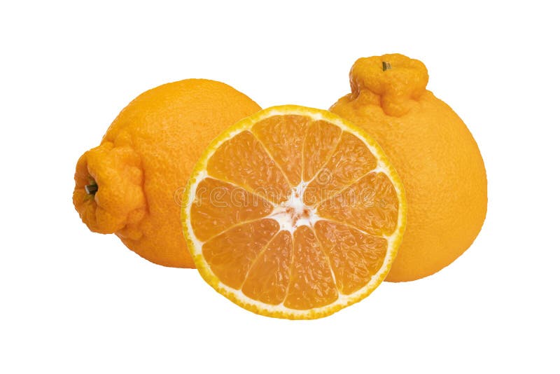 https://thumbs.dreamstime.com/b/sumo-mandarin-citrus-orange-fruit-hybrid-kiyomi-ponkan-clipping-path-white-background-sumo-mandarin-citrus-173500514.jpg