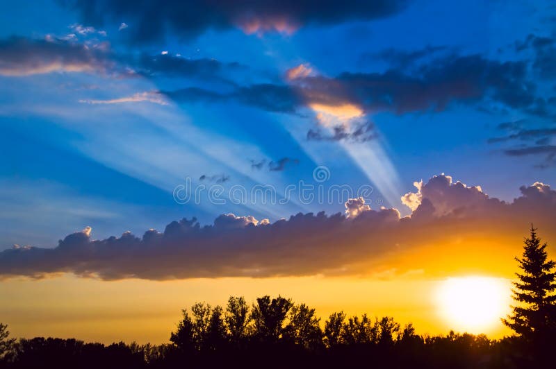 Sun beams aver forest