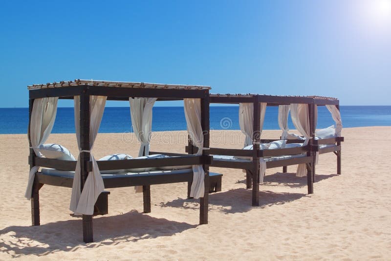 Sun Beds on the Coast of Portugal. Stock Photo Image of palm, resort
