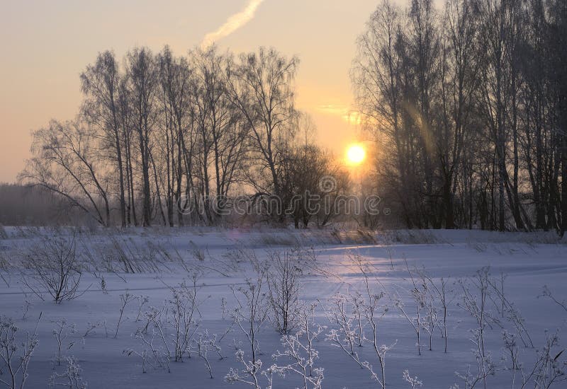 The Sun Breaks Through The Trees In Winter Stock Image Image Of Bare the-sun-breaks-through-the-trees-in-winter-stock-image-image-of-bare