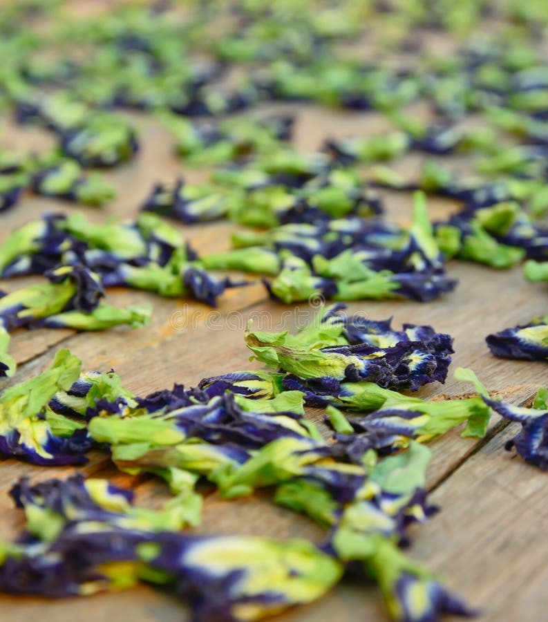 Sun Dried Butterfly Pea Flowers Stock Image Image of flower, colorant