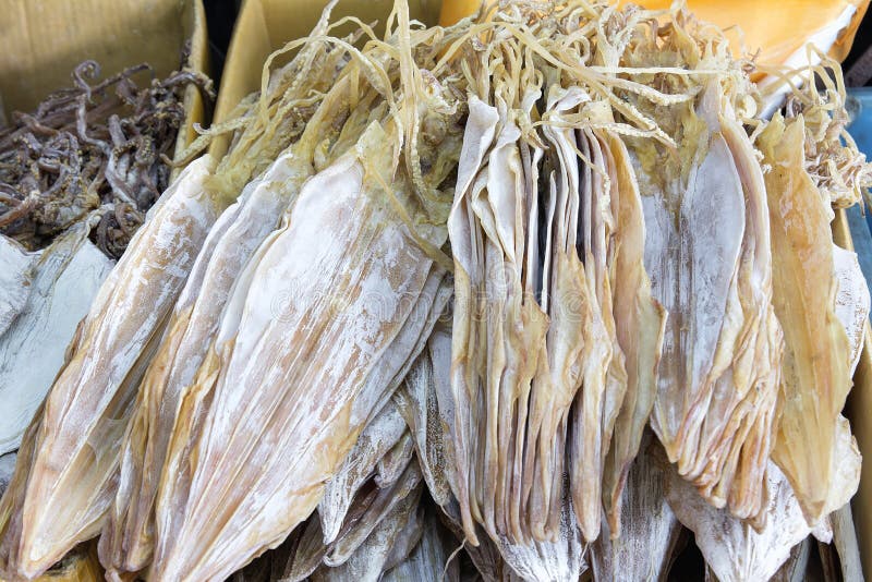 Dried Cuttlefish stock image. Image of gourmet, display 33302223