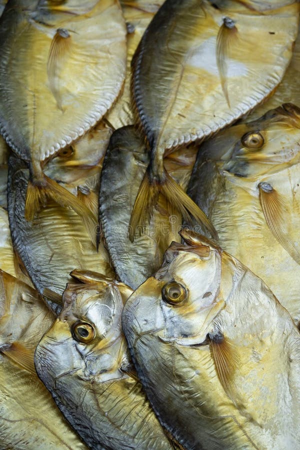 Sun Dried Fish Vomer Golden Color, Bright Fish Background Stock Image