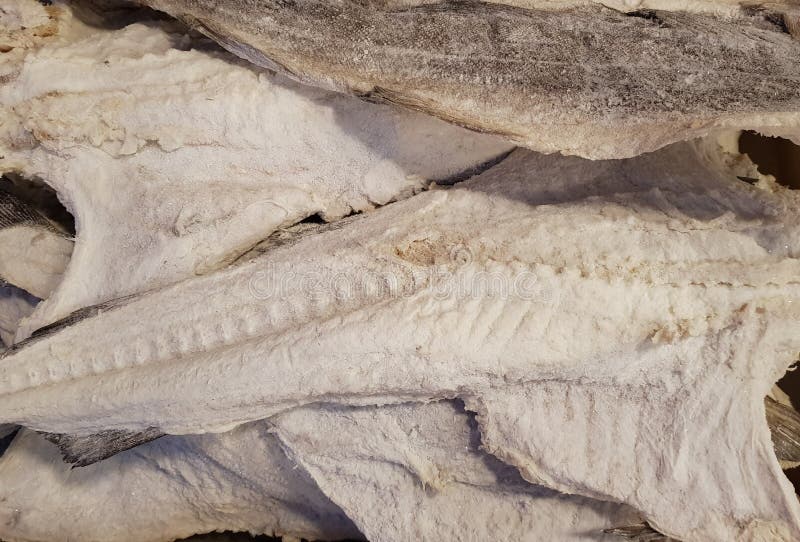 Sundried Salted Codfish Bacalao Stock Photo Image of rough