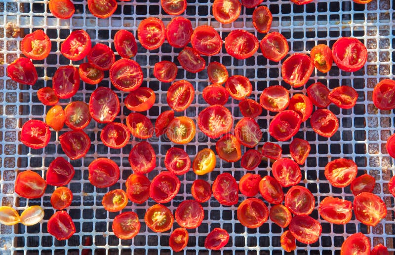 Sundried tomatoes stock photo. Image of food, nets 213983136