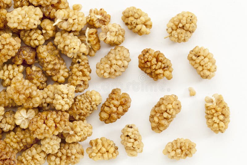 Sundried White Mulberry Berries Stock Photo Image of organic