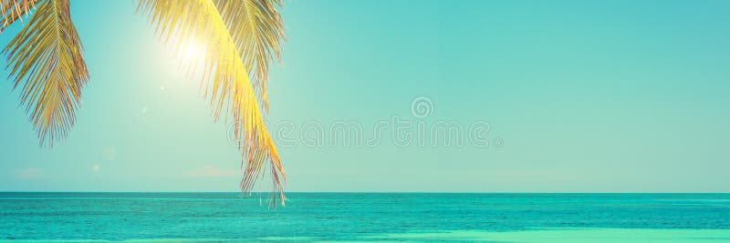 Sun e fondo delle foglie di palma, del cielo blu, del mare caraibico, di estate e di viaggio fotografia stock Sun e fondo delle foglie di palma, del cielo blu, del mare caraibico, di estate e di viaggio fotografia stock