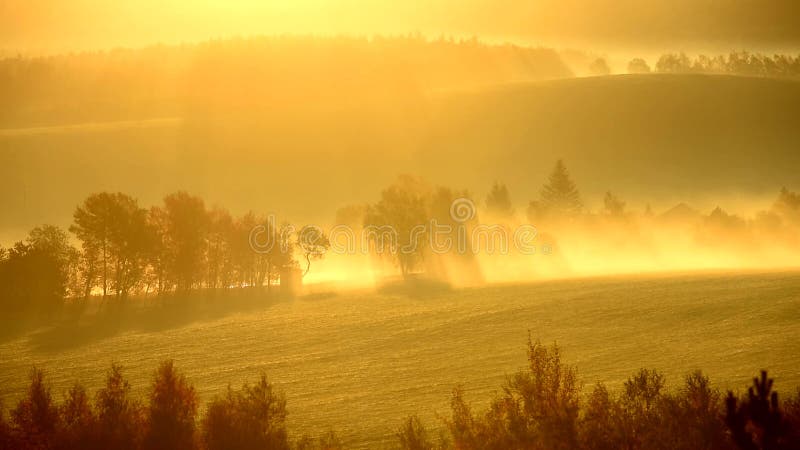 Sun irradia entre los árboles en la salida del sol en niebla en paisaje del otoño
