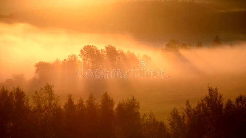 Sun irradia entre los árboles en la salida del sol en niebla en paisaje del otoño