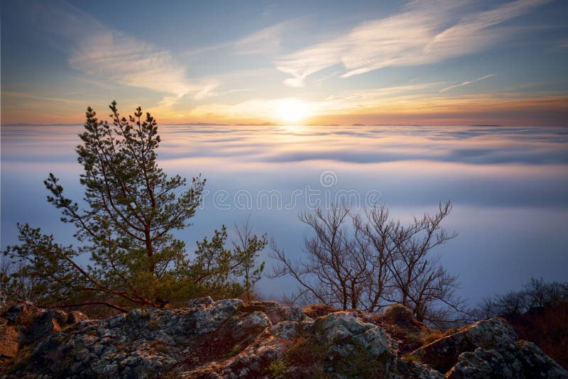 Slnko nad oblakmi krajina so stromom