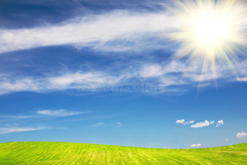 Sun over the green field in summer