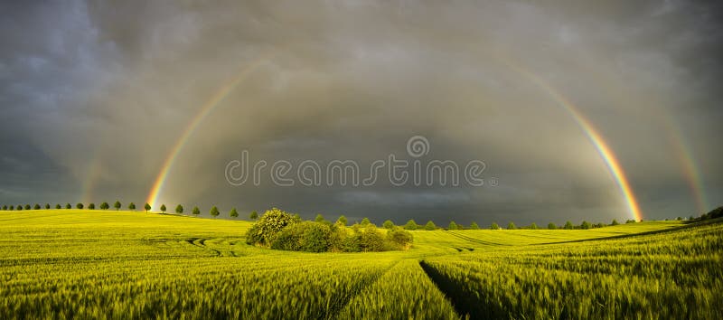 Sun, rain and two rainbows over the field