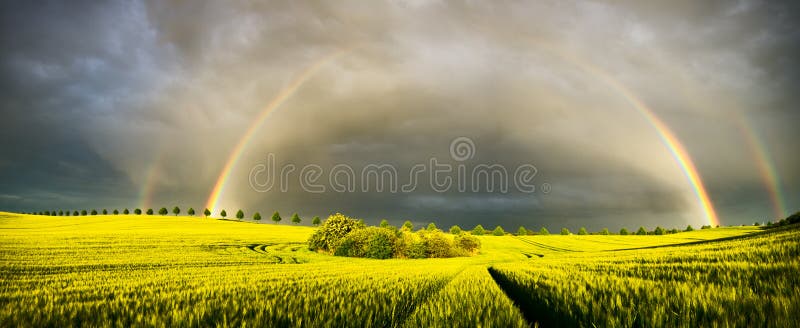 Sun, rain and two rainbows over the field