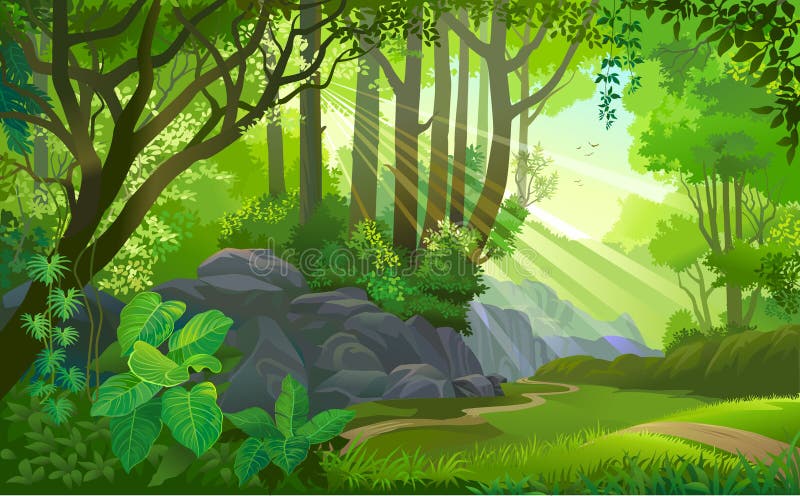 The path across a dense jungle with trees, grass, boulders, dirt, bushes and plants stock illustration