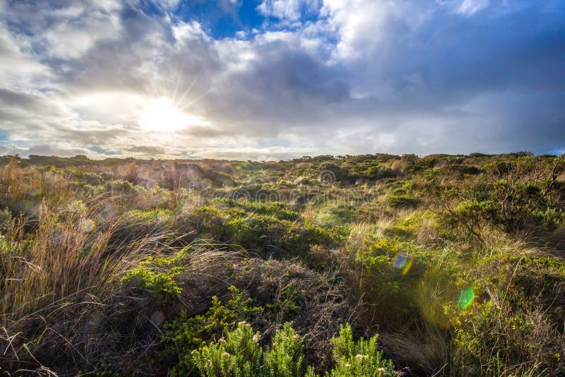 Sun rays piercing through heavy clouds onto a field of seaside shrubs, Great Ocean Road, Australia stock images