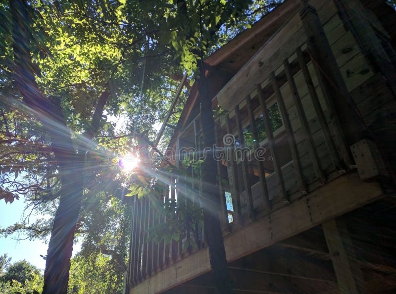 Sun Rays on Tree House stock photo. Image of woods, summer 93804858