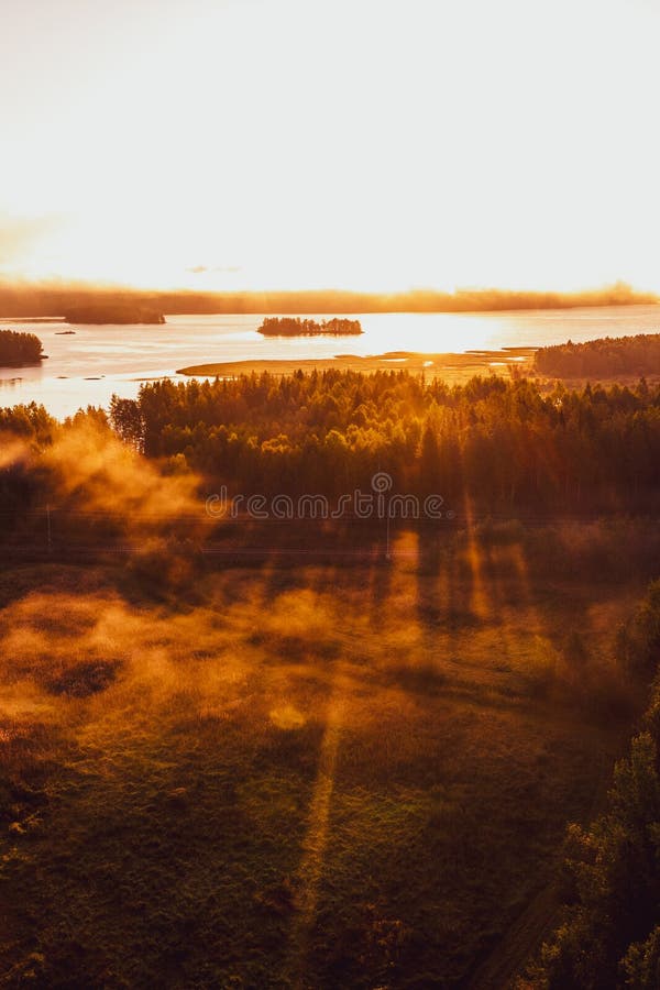 The Sun Rises Over a Foggy Forest Landscape and the Trees Cast Shadows