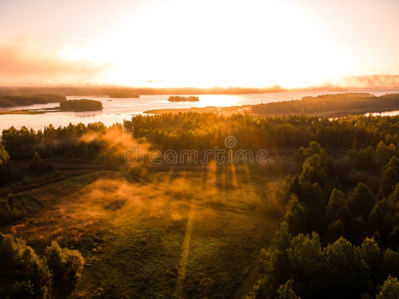 The Sun Rises Over a Foggy Forest Landscape and the Trees Cast Shadows
