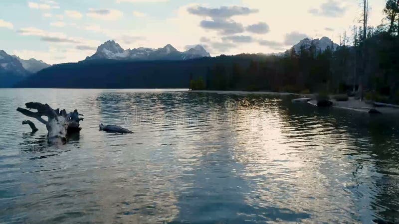 Logs in a lake with mountain reflection as the sun sets. Redfish video