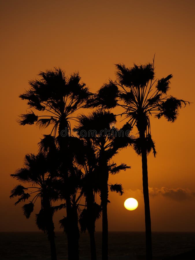 Sun setting at Venice beach Los Angelos
