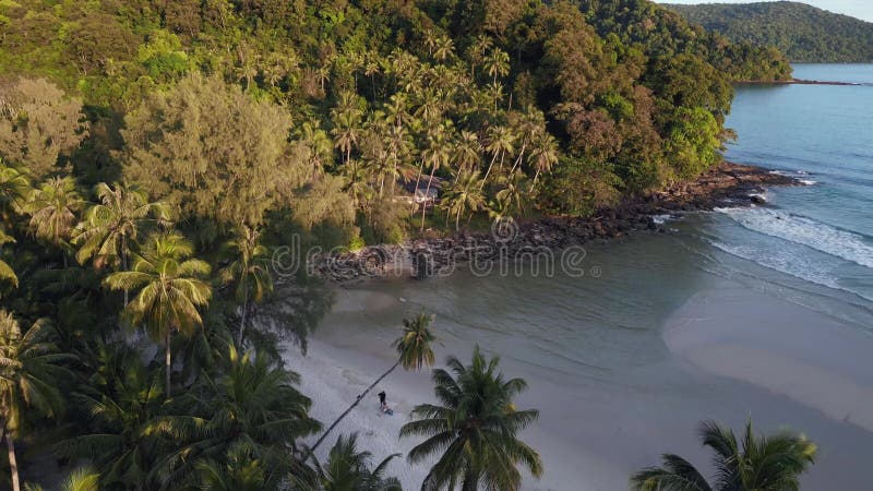 Sun shines jungle palm trees on mountain at beach. Wonderful aerial view drone