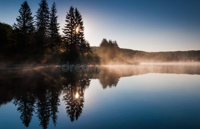 The sun shines through pine trees and fog at sunrise, at Spruce Knob Lake, West Virginia