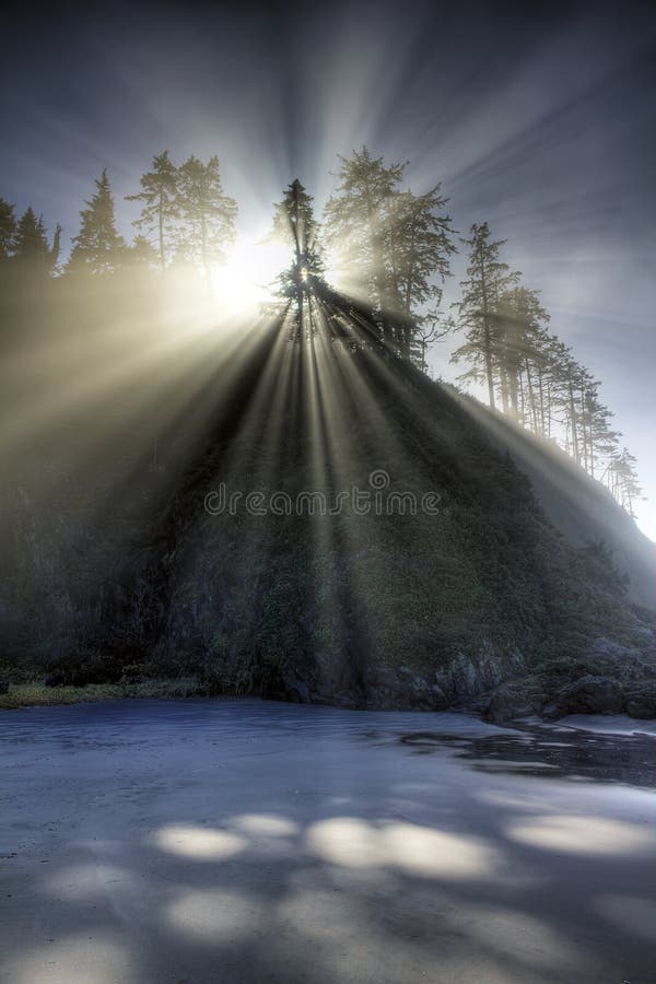 Sun Shining into Beards Hollow